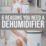 6 Interesting Reasons You Need A Dehumidifier