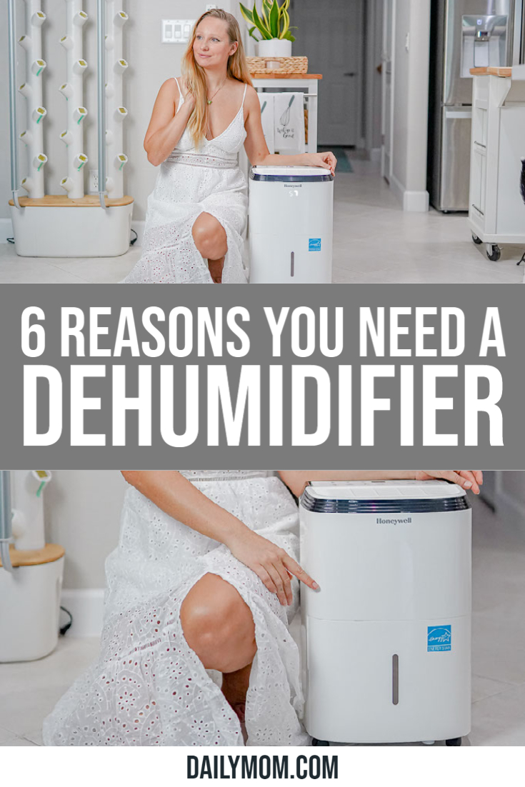 6 Interesting Reasons You Need A Dehumidifier