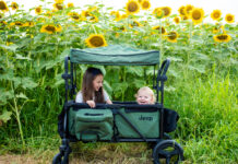 Delta Children Products: Keeping Little Ones Safe