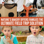 Nature’s Bakery Offers Families The Ultimate Field Trip Solution This School Year (it’s Dino-mite)!