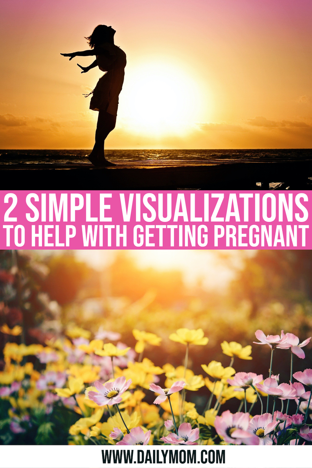 Getting Pregnant: 2 Simple Visualizations That May Help