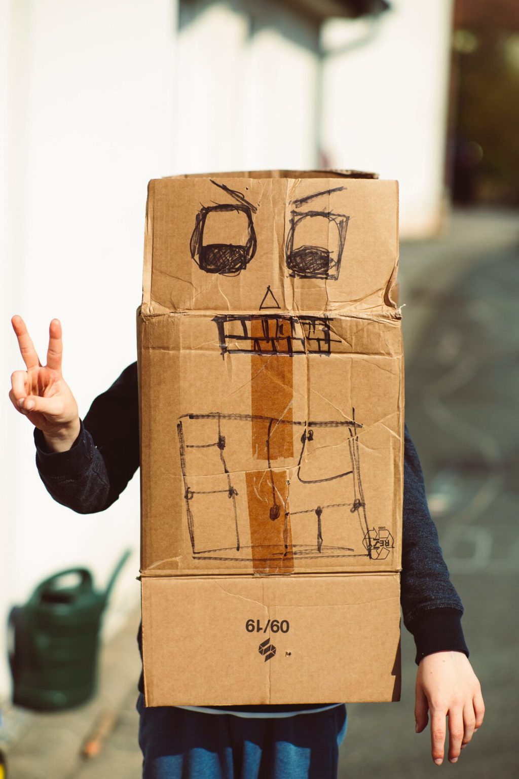 20 Amazing Ways A Customized Cardboard Box Can Be The Best Toy