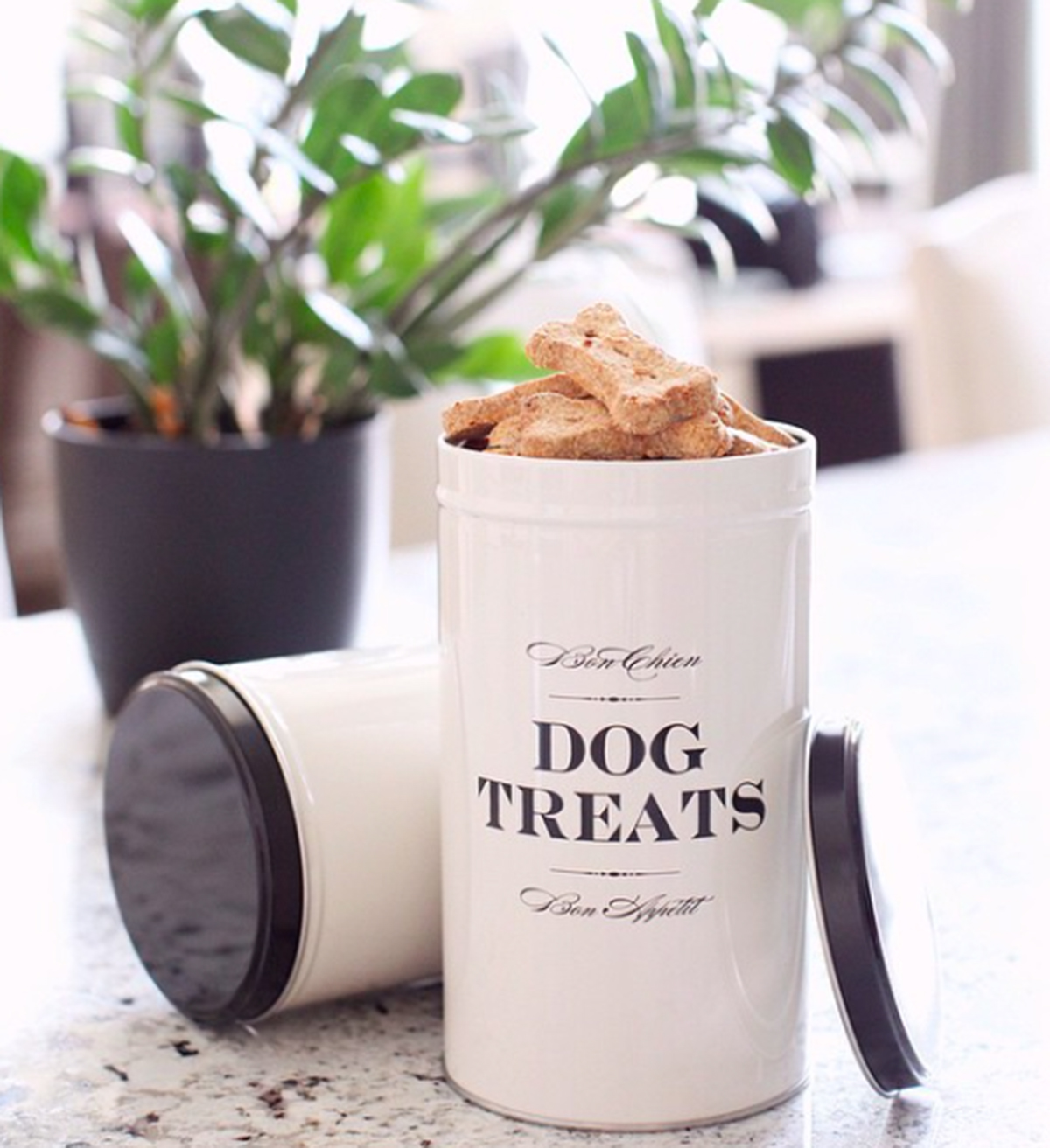 Amazing Pet Gifts To Spoil Your Fur-Baby This Holiday