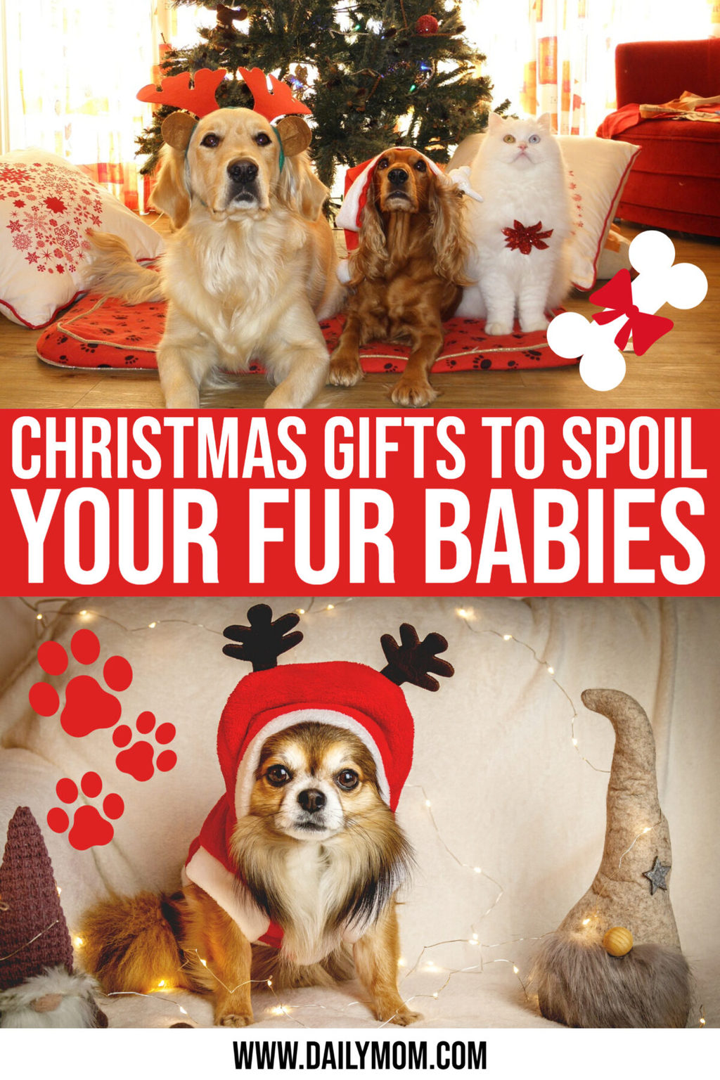 Day 7 of our Gift Guide: Pet Parent Picks 🐾🎁 Spoil your furry