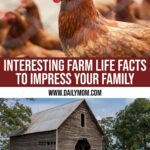 Interesting Farm Life Facts About 9 Animals To Build Your Trivia Skills, And Impress Your Family