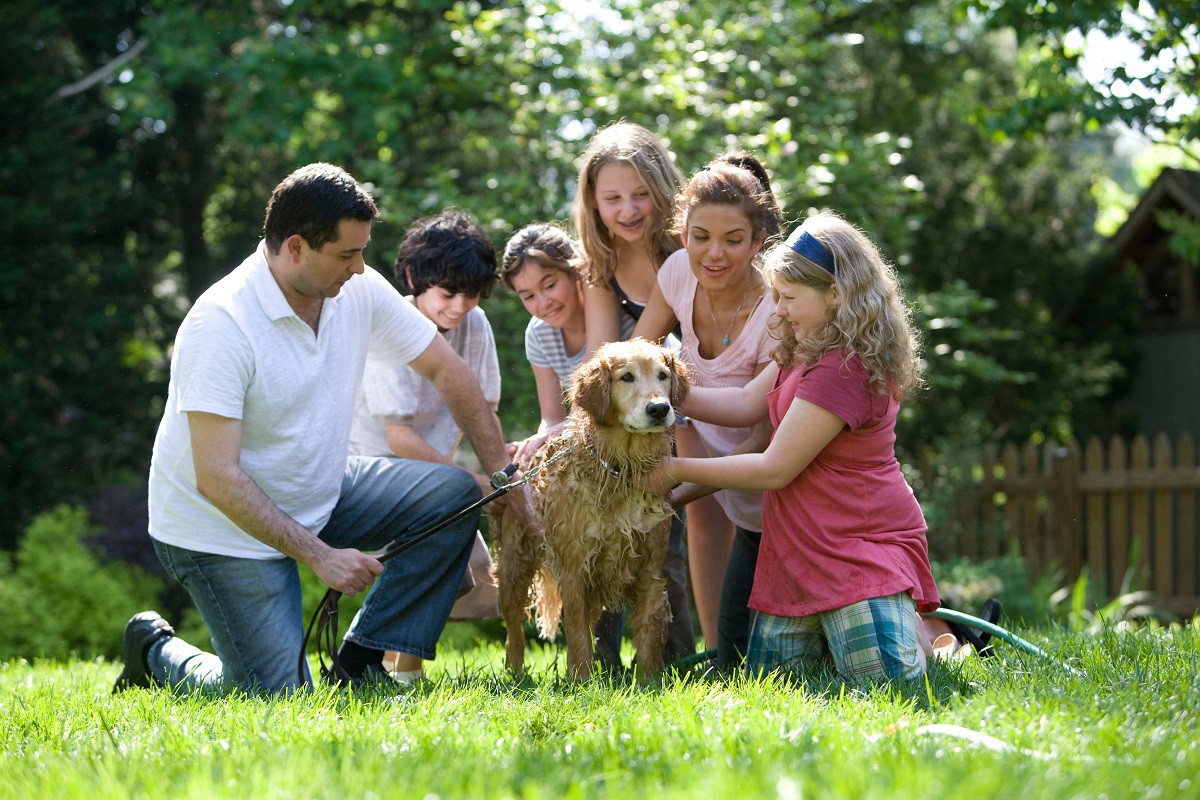 10 Reasons Why You Need Pet Insurance
