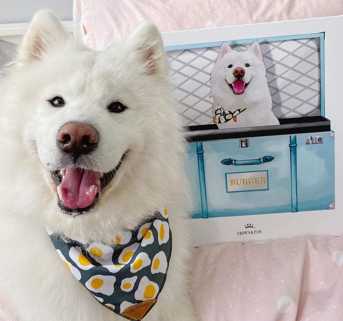 Amazing Pet Gifts To Spoil Your Fur-baby This Holiday