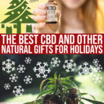 26 Best Cbd & Healthy Lifestyle Gifts For Busy & Beautiful People This Christmas