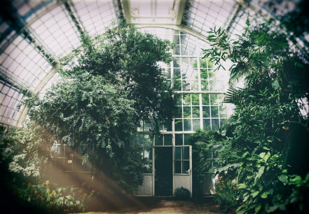 7 Plant Care Myths And Tricks: Green Thumb Trend