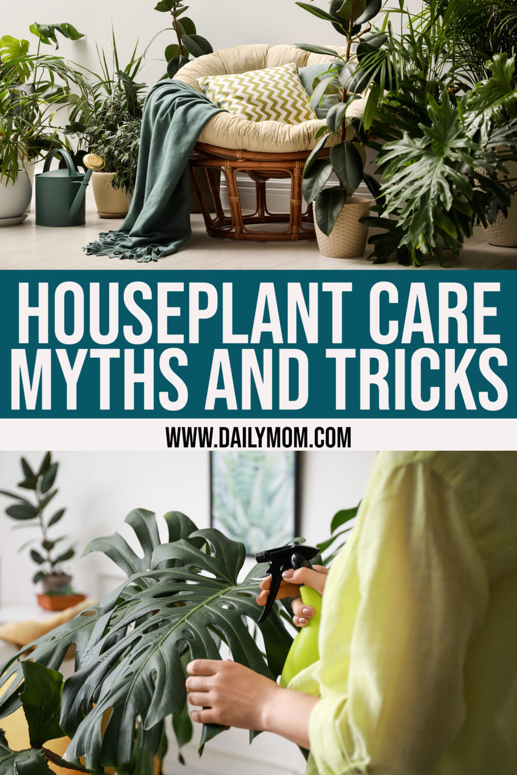 7 Plant Care Myths And Tricks: Green Thumb Trend