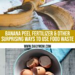 Using A Banana Peel As Fertilizer And 4 Other Surprising Ways To Use Food Waste