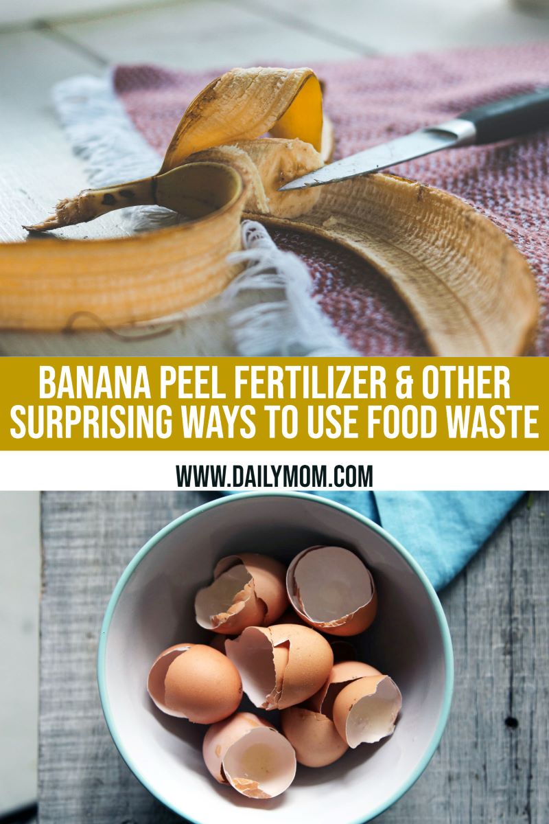 Using A Banana Peel As Fertilizer And 4 Other Surprising Ways To Use Food Waste
