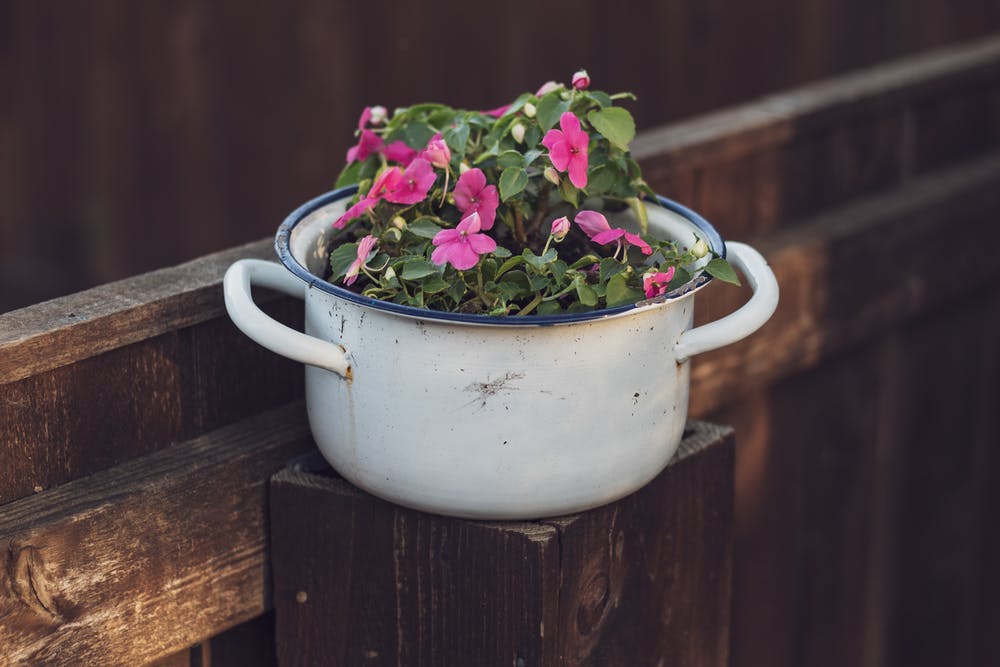 Cheap Garden Decor: Achieve Your Beautifully Unique Oasis With These 3 Tips