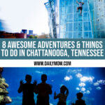 8 Awesome Adventures You Must Experience When You Visit Chattanooga, Tennessee