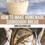 How To Start Making Homemade Sourdough Bread