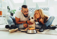 How To Throw A Puppy Party For Four-legged Friends