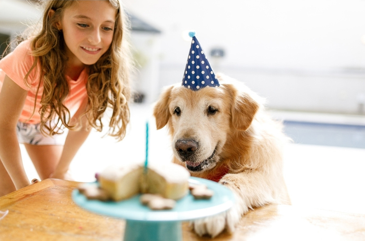 How To Throw A Puppy Party For Four-Legged Friends