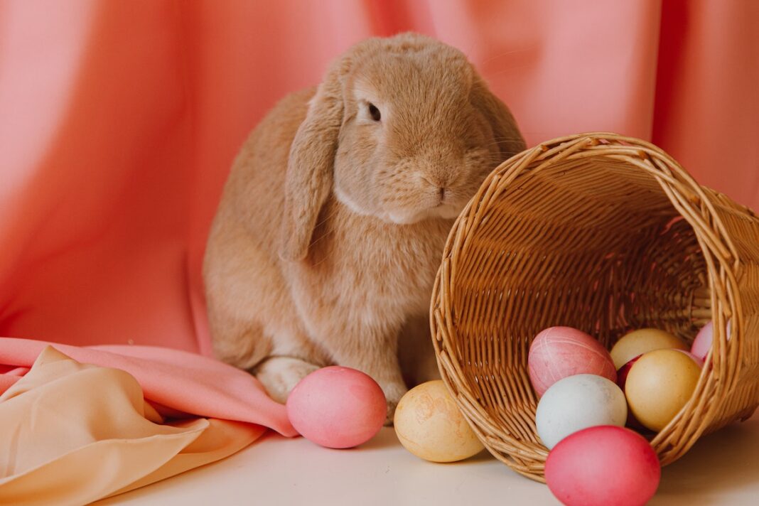 31 Best Easter Toys & Easter Basket Gifts For Kids This Spring 31 Best Easter Toys & Easter Basket Gifts For Kids This Spring
