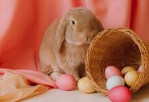 31 Best Easter Toys & Easter Basket Gifts For Kids This Spring