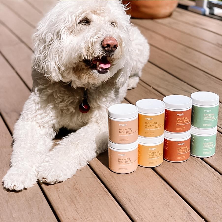 19 Of The Best Pet Products For Your Adorable Furry Friends And Their Humans