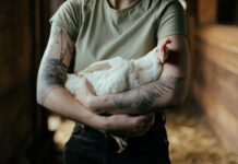 4 Steps To Successfully Petition Your City For Pet Chickens And Why You Should Do It Now 