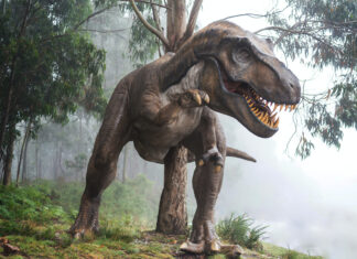 Celebrate National Dinosaur Day On May 1 With T-rex Sized Fun