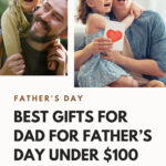 25 Best Gifts For Dad For Father’s Day Under $100￼