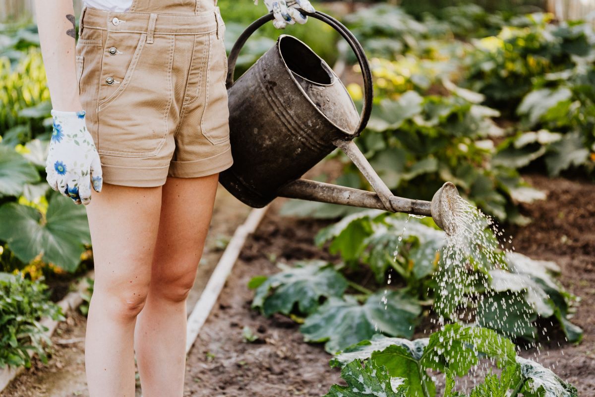 8 Super Backyard Garden Care Tips For Pest Prevention And Management