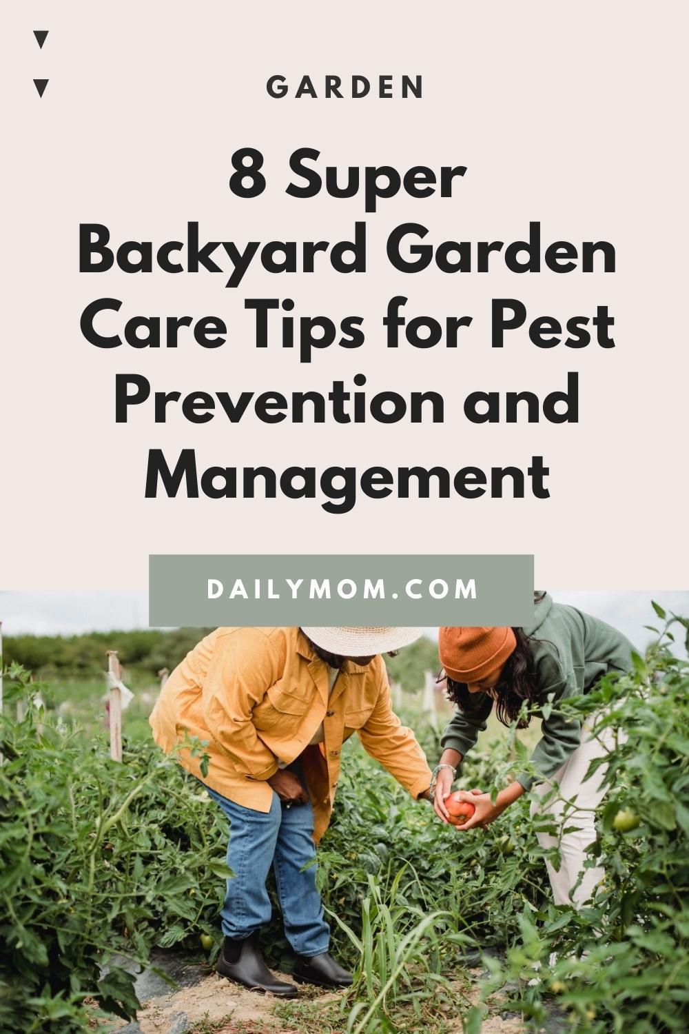 8 Super Backyard Garden Care Tips For Pest Prevention And Management
