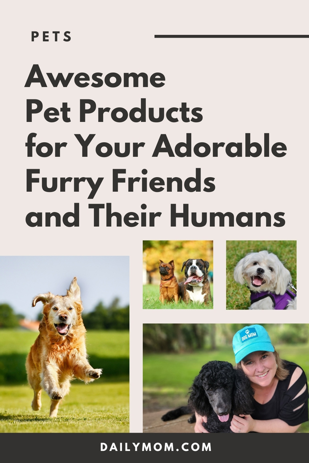 19 Of The Best Pet Products For Your Adorable Furry Friends And Their Humans