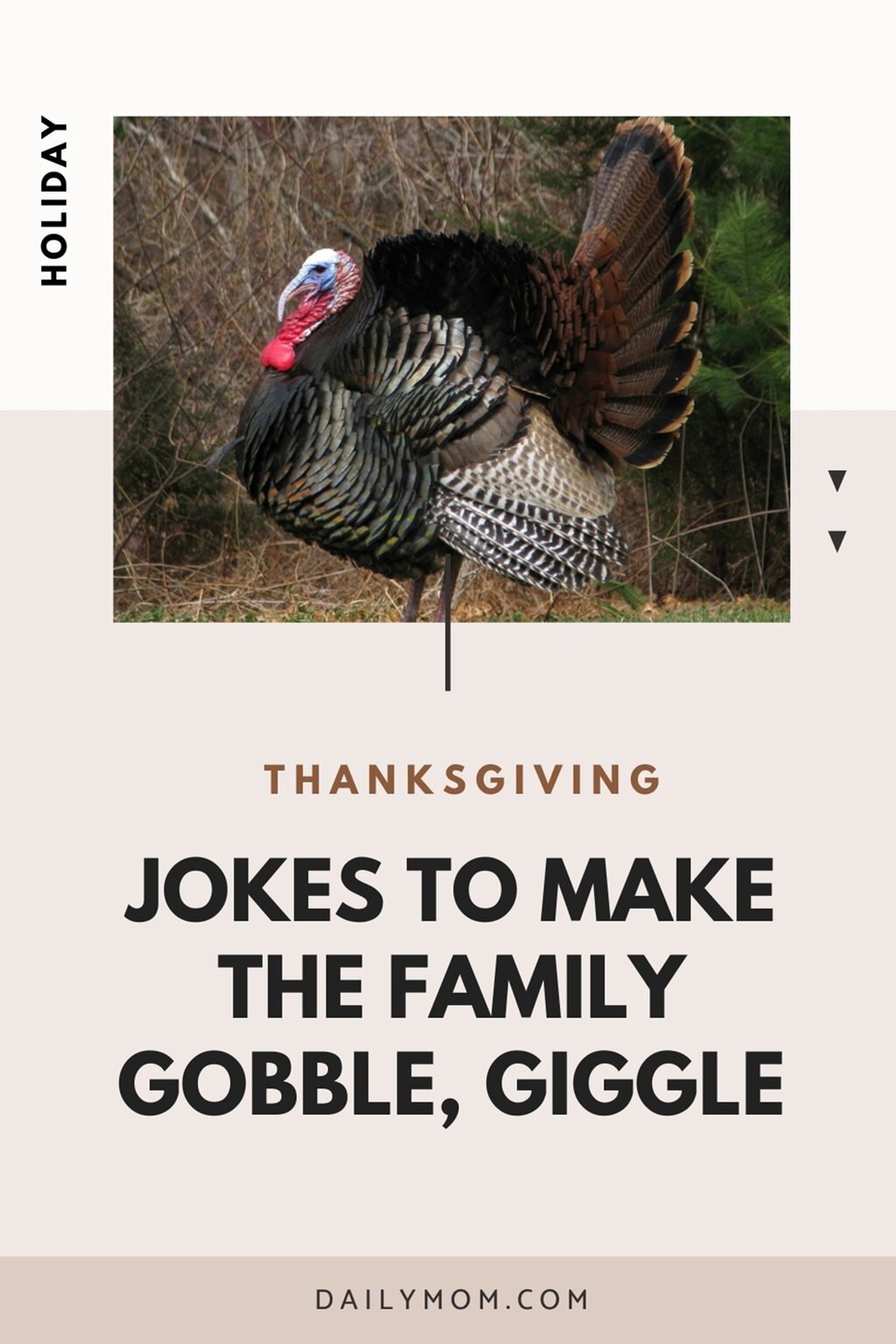42 Hilarious Jokes For Thanksgiving To Make The Family Gobble And Giggle