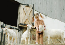 Interesting Farm Life Facts About 9 Animals To Build Your Trivia Skills, And Impress Your Family
