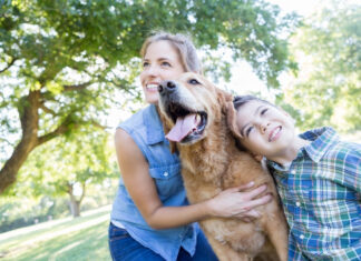 Important Pet Boarding Tips To Alleviate Stress For Dog Moms When Preparing For Vacation