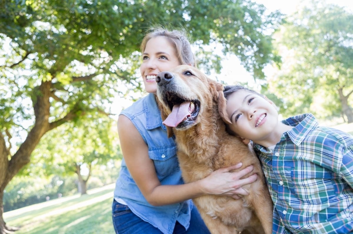 Important Pet Boarding Tips To Alleviate Stress For Dog Moms When Preparing For Vacation