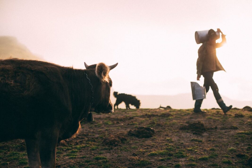 4 Mind-blowing Facts About Raw Milk Benefits 4 Mind-blowing Facts About Raw Milk Benefits