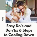 Easy Do’s And Don’ts: 6 Steps To Cooling Down Your Pet