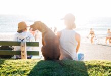 Easy Do’s and Don’ts: 6 Steps to Cooling Down Your Pet Easy Do’s And Don’ts: 6 Steps To Cooling Down Your Pet