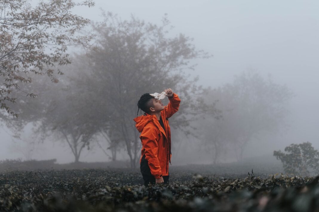 10 Cures For Brain Fog: Improve Your Mental Clarity