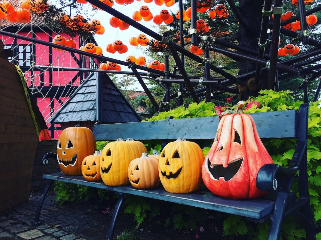 25+ Printable Templates For Pumpkin Carving For A Simple &  Spooky Porch