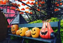 25+ Printable Templates For Pumpkin Carving For A Simple &  Spooky Porch