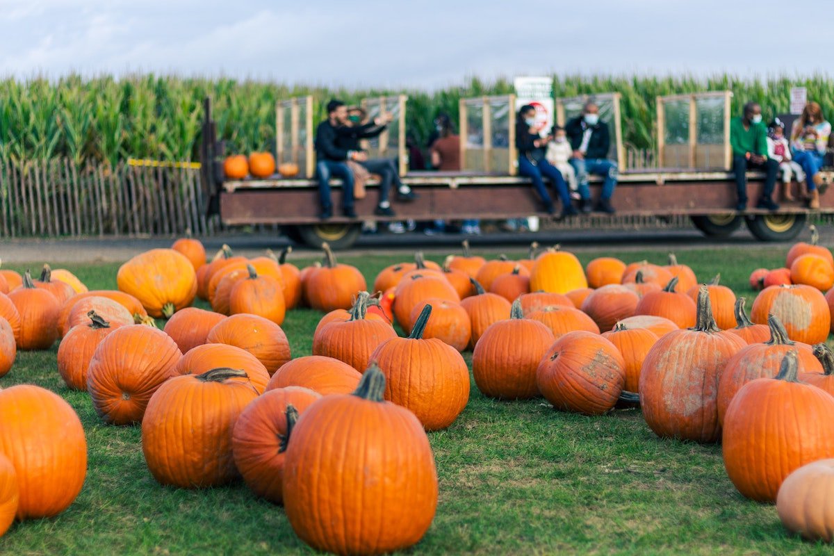10 Fun Ways To Give Your Fall Festival Some Added Flair