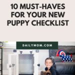 10 Must-haves For Your New Puppy Checklist