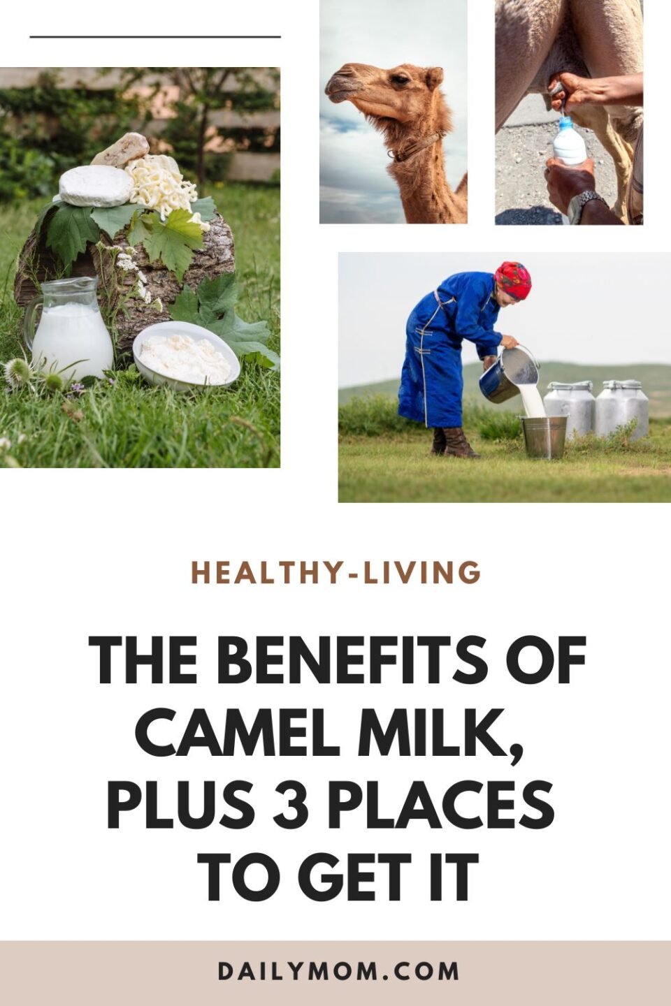 The Benefits Of Sheep And Camel Milk Plus Where To Get It the-benefits-of-sheep-and-camel-milk-plus-where-to-get-it