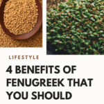 4 Benefits Of Fenugreek That You Should Know About