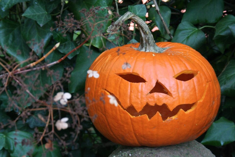 25+ Printable Templates For Pumpkin Carving For A Simple & Spooky Porch ...