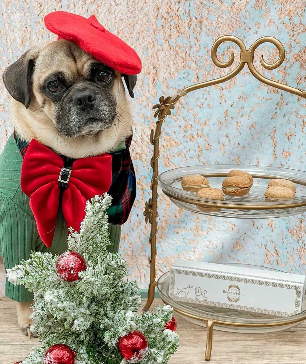 13 Unique Christmas Gifts For Animal Lovers & Their Adorable Furry Friends