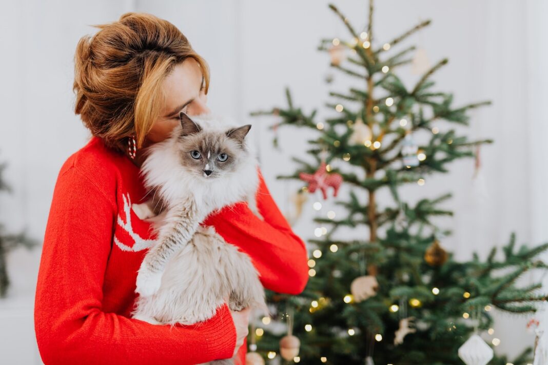 13 Unique Christmas Gifts For Animal Lovers & Their Adorable Furry Friends