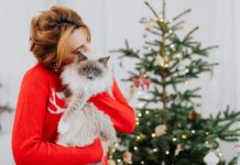 13 Unique Christmas Gifts For Animal Lovers & Their Adorable Furry Friends