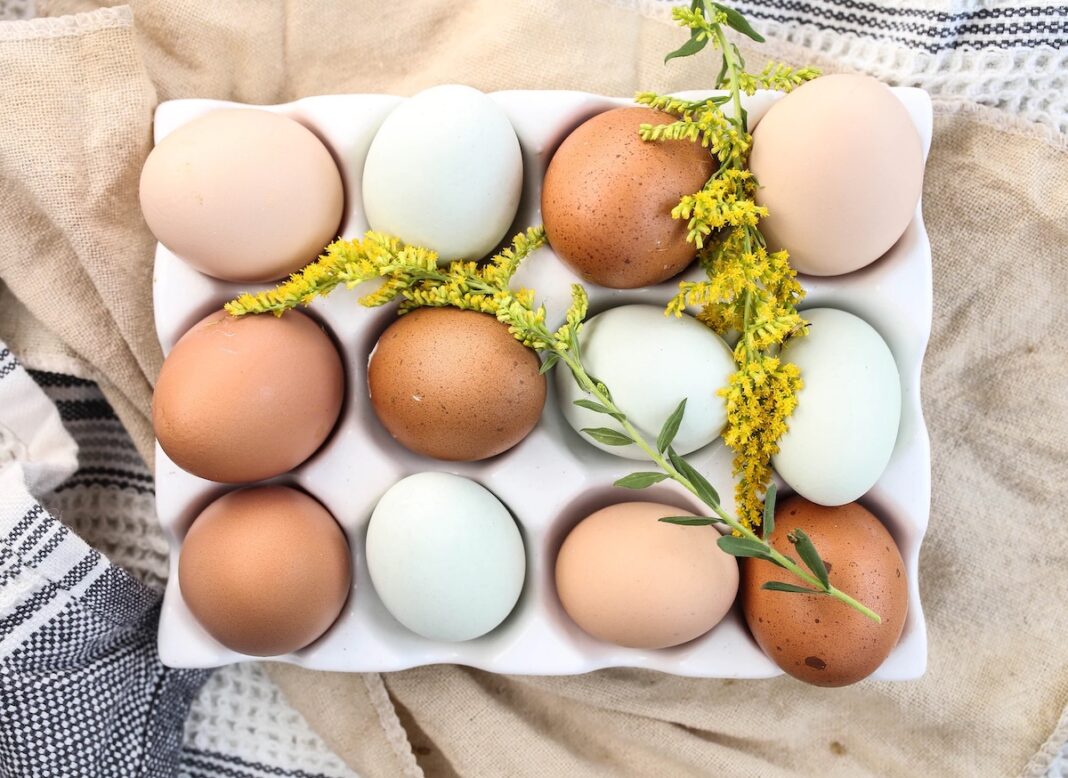 The Health Benefits Of Eggs: 7 Amazing Reasons To Get Cracking The Health Benefits Of Eggs: 7 Amazing Reasons To Get Cracking