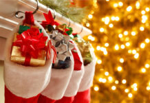Celebrate Christmas with Excellent Stocking Stuffers for Him Celebrate Christmas With Excellent Stocking Stuffers For Him